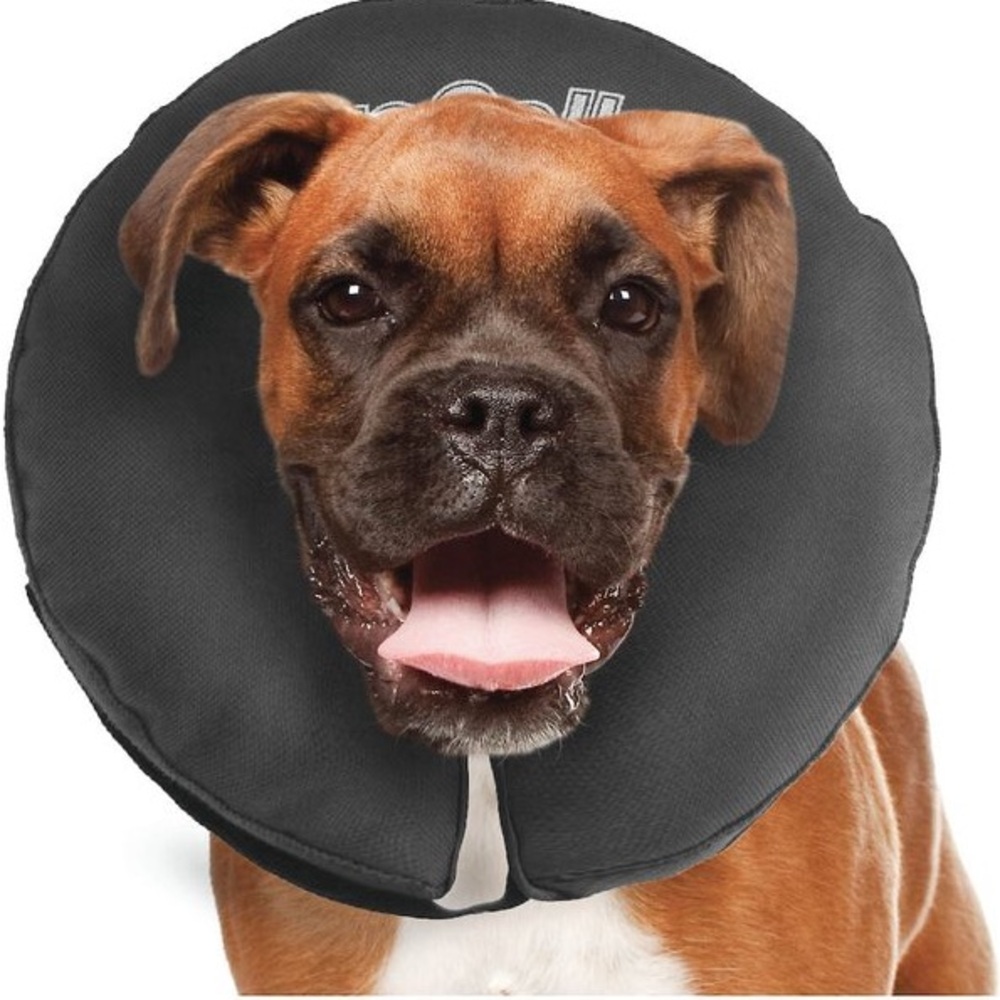 Inflatable Recovery ZenCollar by ZenPet
